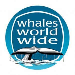 worldwhaleLOGO