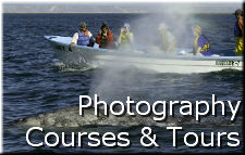 Photography Courses and Tours