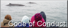 whale watching operators