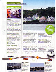 whale watch west cork