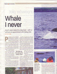 whale watch west cork