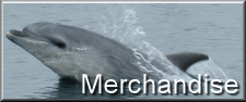 whale dolphin merchandise