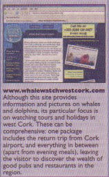 cork whale watching