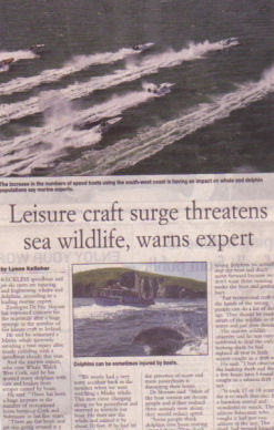 ireland whale watching