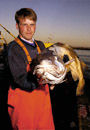 icelandic ministry of fisheries